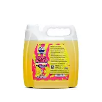 FHB096 Foam Heroes Swipe Interior квик-детейлер для интерьера крем-сода, 3л